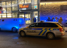 Policejní hlídky uklidňovaly labilní ženu v OC na Chodově