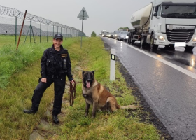 Skvělá práce psa Atreye, za několik minut vypátral viníka nehody