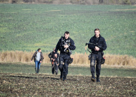Z jatek utekl býk. Dostal 10 ran ze samopalu