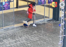 Poznáte ženu na videu, která ukradla pejska?