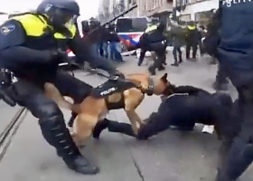 V Amsterdamu zasáhli pořádkové jednotky při demonstracích proti covidovým opatřením