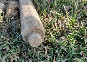 Pozor, i takhle vypadá letecká puma !!!