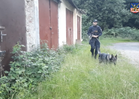 Napadení skončilo smrtí. Pachatele karlovarští policisté dopadli za několik hodin