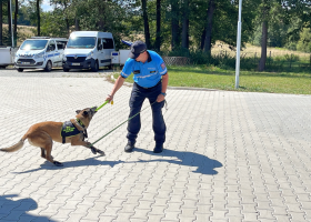 Borci od celníků vycvičili sedm psů pro Izrael. Budou sloužit na letišti, v přístavech a hraničních přechodech