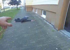 Muži, který pobodal ochranku, hrozí 12 let za mřížemi.